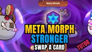 How To Meta Morph An Axie