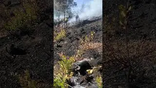 Angelus Oaks Broadcast Burn Video Clip 4
