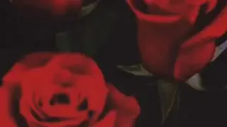 Encarnacion Bechaves Commercial 1992 