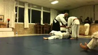 Aikido Practice Traditional Iwama Style Alicante