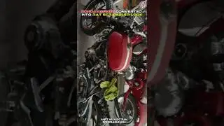 Honda Hornet Converted into Rat Scrambler Look 🔥☠️#honda #hornet #scrambler #shorts #viralvideo #new