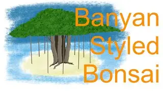 Banyan Styled Bonsai from Ficus Benjamina Clump Planting