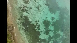 Seagrass meadows are key fishing habitat globally