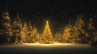 Ember Pines | Luminous Winter Soundscape | Cozy Holiday Ambient Music for Sleep, Meditation & Focus