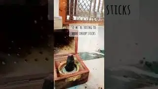 Plastic-Free Pooja Routine | Plastic-Free July Day 28