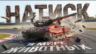 В МИРЕ ЖИВОТНЫХ ➤ МИР ТАНКОВ