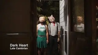 Dark Heart (Where Can We Go Now?) - Late Cambrian (official music video)
