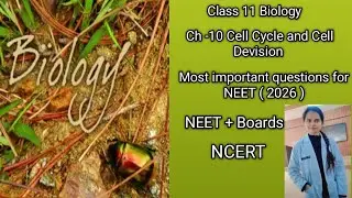 Class 11 Biology ch -10 Cell Cycle and Cell Devision | NEET 2026 MCQs + NCERT Explanation 