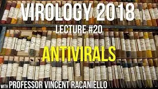 Virology Lectures 2018 #20: Antivirals