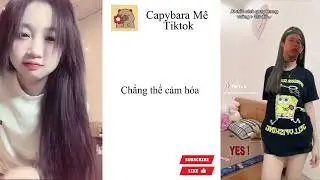 🍀Tổng Hợp Các Trend TikTok 1/2026🍀#tiktok #xh #trend || CapyBara Mê TikTok