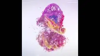 Beautiful Animated Video Ad Template For Holi Festival social media marketing and digital marketing.