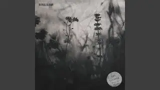 In Full Bloom