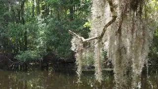 Fred Howard Park, FL