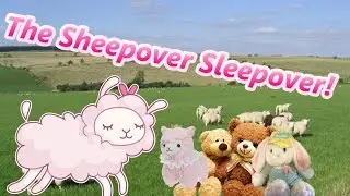 Ночёвка у овечек!