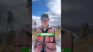 Девятипоясный броненосец &mdash; одно из самых странных маленьких существ в мире!
