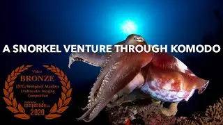 BRONZE: A Snorkel Venture in Komodo