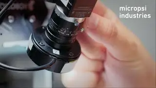 How to Adjust Vision Settings