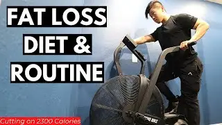 A Day In My Life I 2021 Fat Loss Phase