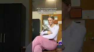 Every donation matters, link in bio🥹❤️ #animal #cat #kitten #goshelter