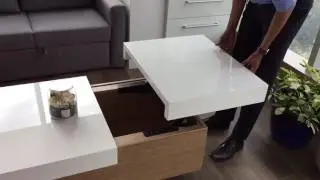 Adjustable Center Table Ebco Fitting