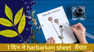 1 दिन में herbariam sheet बनाये 🤗🤗