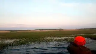 VID 20190514 205413