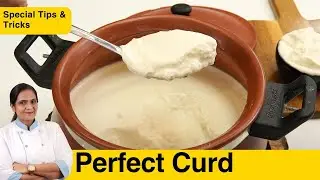 How to Set Perfect Curd at Home? How to set Curd in Clay pot?, Thick Curd Recipe With Tips & Tricks