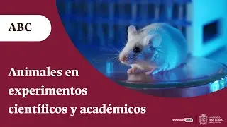 &iquest;Desde cu&aacute;ndo los animales forman parte de las investigaciones cient&iacute;ficas? | Peri&oacute;dico UNAL