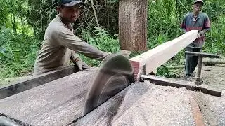 Cara Terbaik Memotong Kayu Bakalan Papan Dengan Gergaji Mesin Serkel Rakitan 