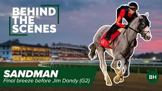 Sandman Records Final Breeze Ahead of July 26 Jim Dandy Stakes