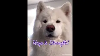 Hope and Strength!