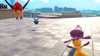 Bench Resetting for Shiny Pokemon in Wild Zone 9