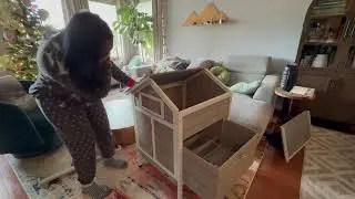 🐔 How to Assemble the Petscosset Chicken Coop | Easy DIY Backyard Coop Setup