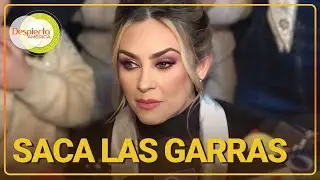 Aracely Arámbula defiende a sus hijos tras rumores de ver a uno de ellos fumando | Despierta América