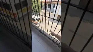 Reforma Completa em Fortaleza: Varanda virou Sala Comercial Moderna | RV Construtora Cear&aacute;
