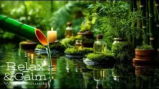 Live Water Sounds 🌱 Zen Nature Ambience for Sleep, Spa & Meditation