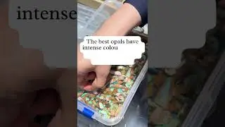 Why Are Some Opals So Expensive? Here&rsquo;s the Truth | Opal Buying Guide #australianopal #opaljewelry
