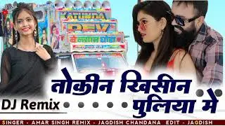 तोकी ने खिसीन पुलिया में _ toki khishina puliya me _dj Remix vishnu Ninama_dashrath kharadi