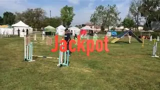 How to Play the CPE Game of Jackpot