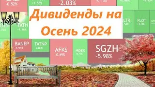 Осенние дивиденды 2024 ► какие компании я буду покупать