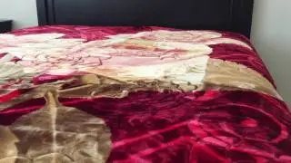 Heavy Thick Plush Velvet Korean Style Mink Blanket by JML