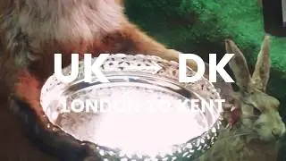 ❛An&aring;rchy in the DK❜ Episode I: UK &rarr; DK