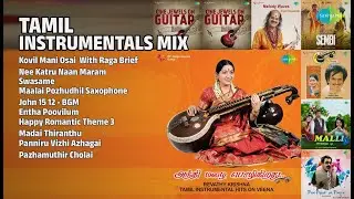 மனதை மயக்கும் இசை | Revathy Krishna Songs | Kovil Mani Osai  With Raga Brief