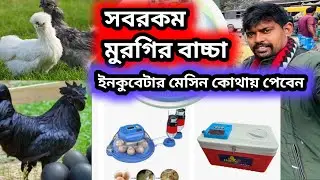 মুরগির বাচ্চা ইনকুবেটার মেসিন সমস্ত কিছু পাওয়া যাবে জলের দামে || incubator machine market #eggs 