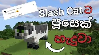 Slash Cat ට පූසෙක් 😍  Minecraft Mobile In Sinhala | Episode 07