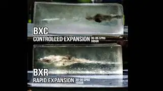 Browning BXR & BXC Ammunition