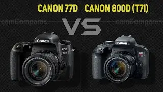 Canon 77D vs Canon 800D (T7i)  [Camera Battle]