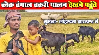 ब्लैक बंगाल‌ बकरी पालन देखने पहुंचे 