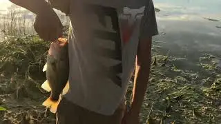 How to rig a Z man turbo crawz!