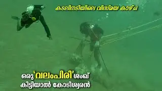 ഒരു വലംപിരി ശംഖ് കിട്ടിയാൽ കോടീശ്വരനാവാം|